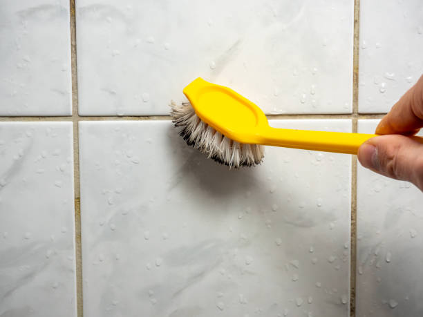 Best Office Mold Removal Services  in Live Oak, CA