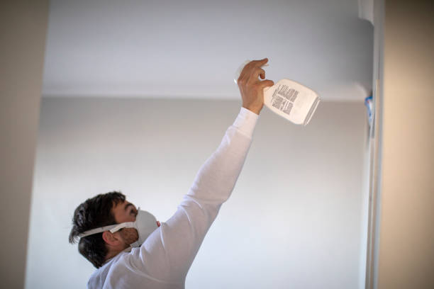 Best Residential Mold Removal  in Live Oak, CA