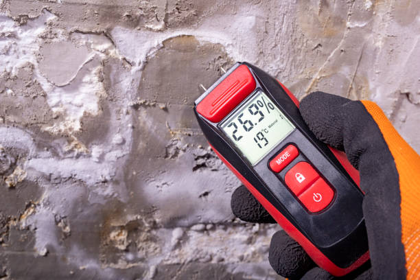 Home Mold Removal in Live Oak, CA